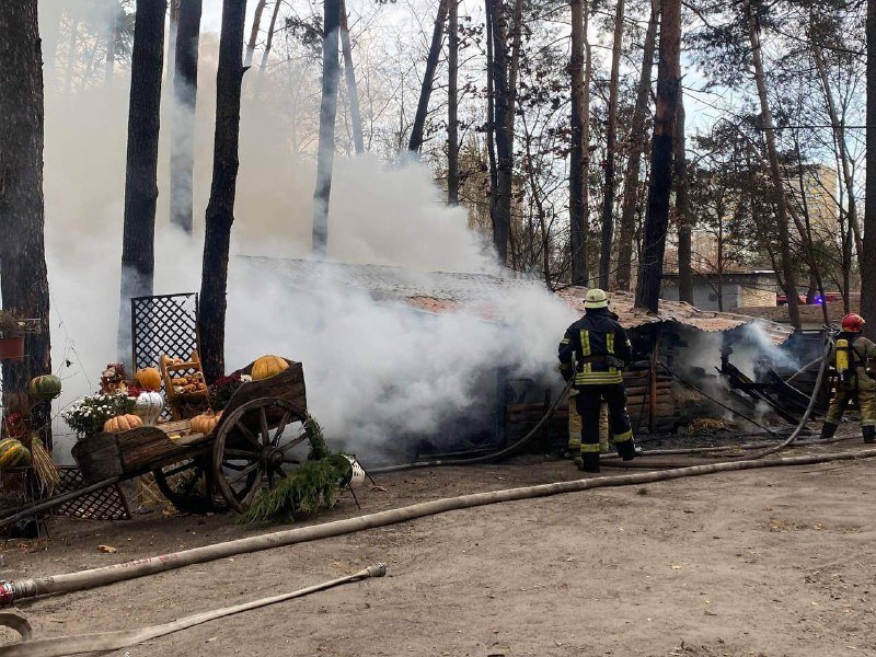 В Киеве загорелся контактный зоопарк 6