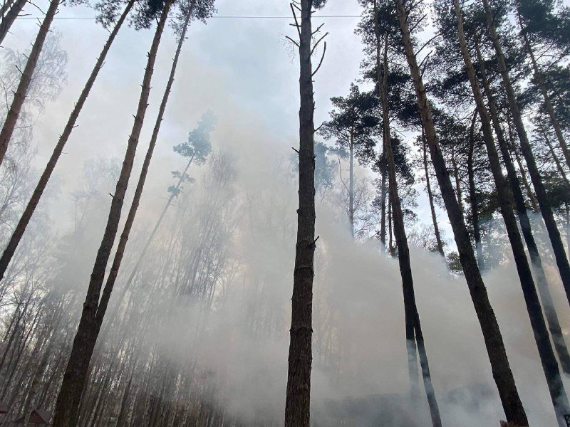 В Киеве загорелся контактный зоопарк 7