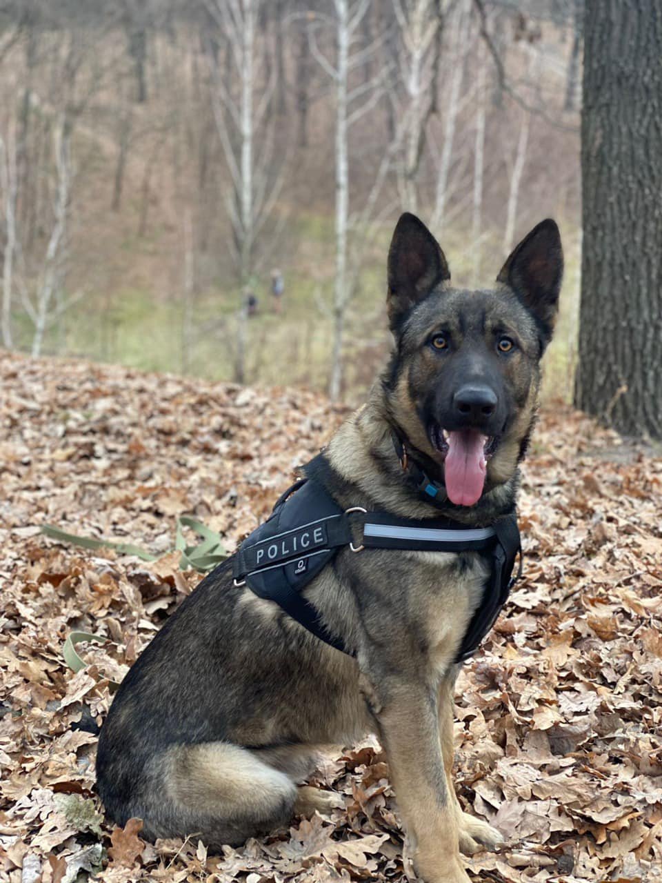 Под Киевом мужчина расстрелял грабителей, которые допрашивали его жену и дочь 3