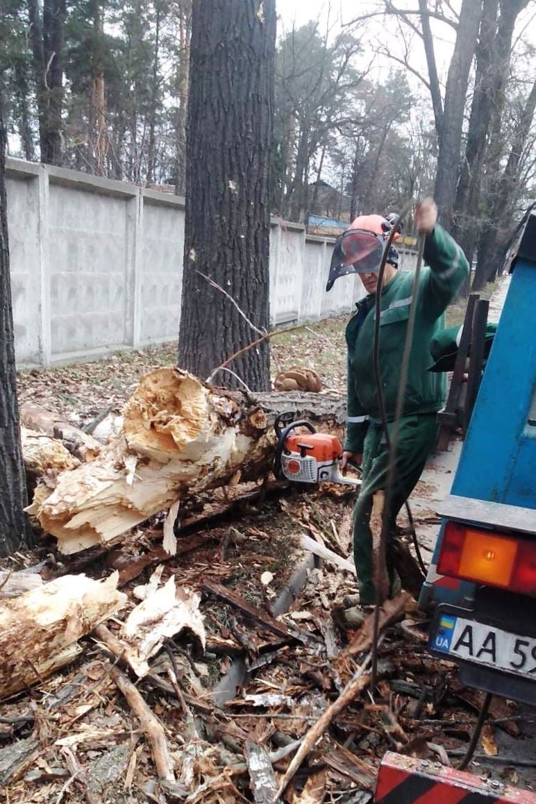 В Киеве штормовым ветром повалило более сотни деревьев 3
