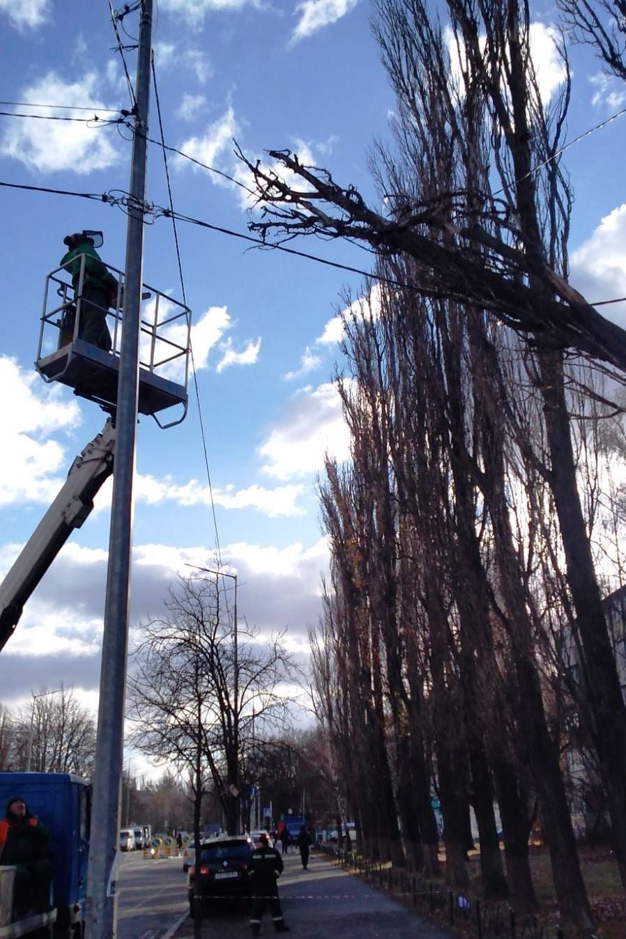 В Киеве штормовым ветром повалило более сотни деревьев 9