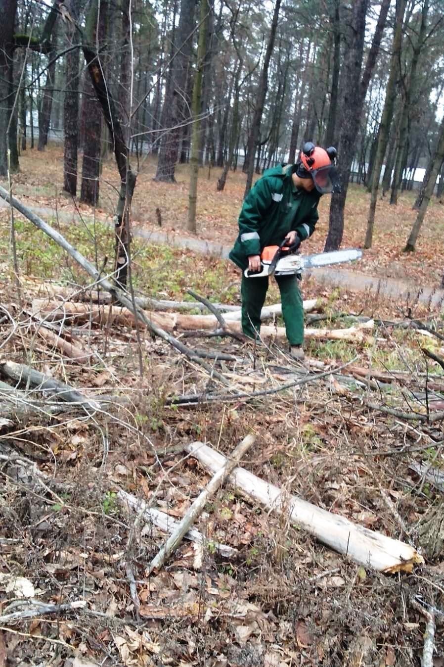 В Киеве штормовым ветром повалило более сотни деревьев 12