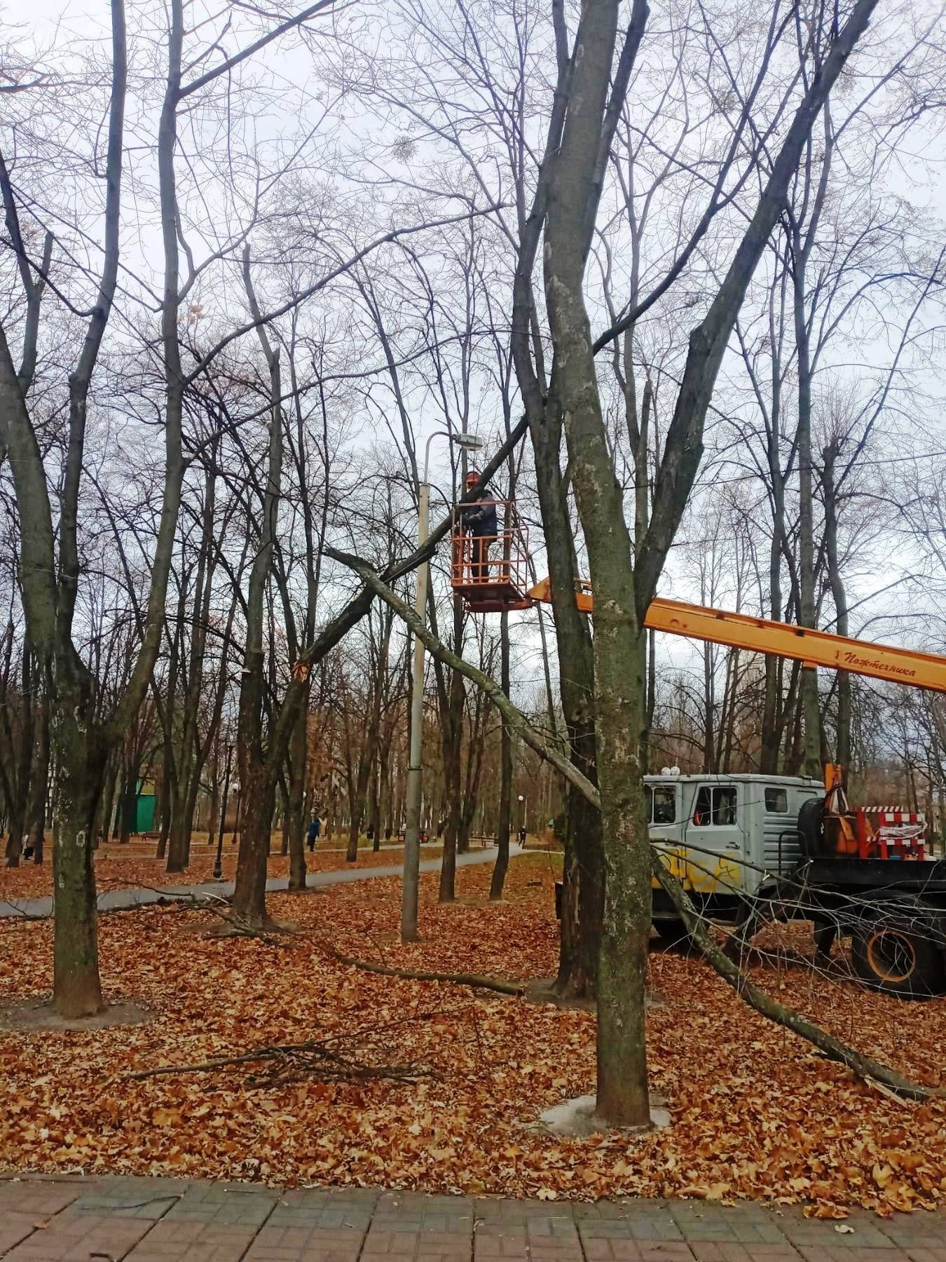 В Киеве штормовым ветром повалило более сотни деревьев 16
