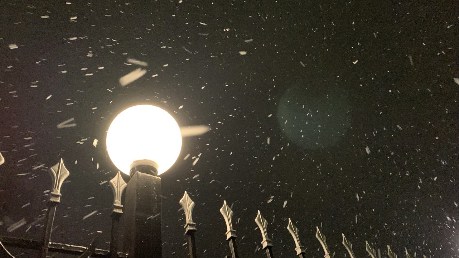 Киев начало засыпать снегом: первые фото и видео с улиц города 3