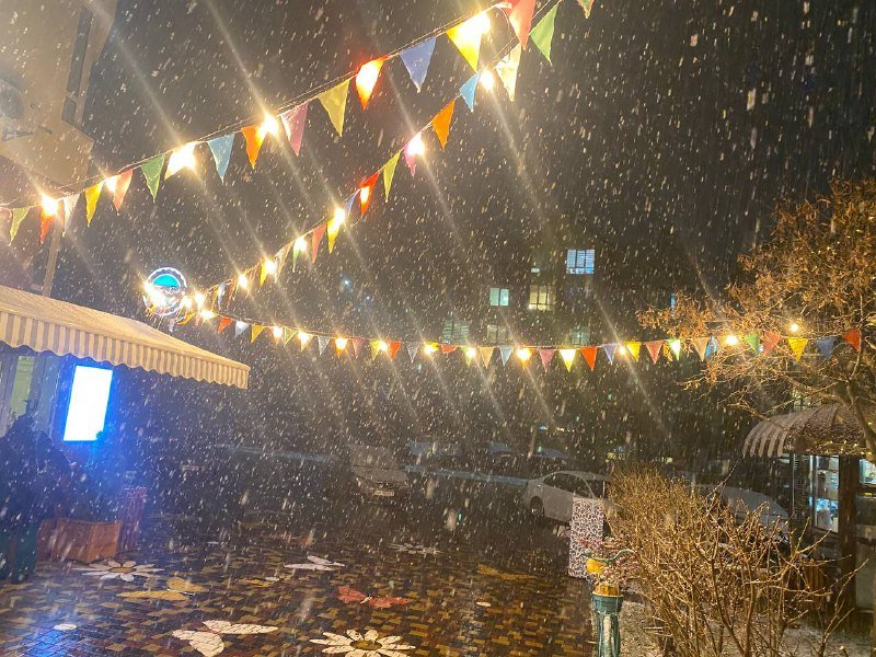 Киев начало засыпать снегом: первые фото и видео с улиц города 7