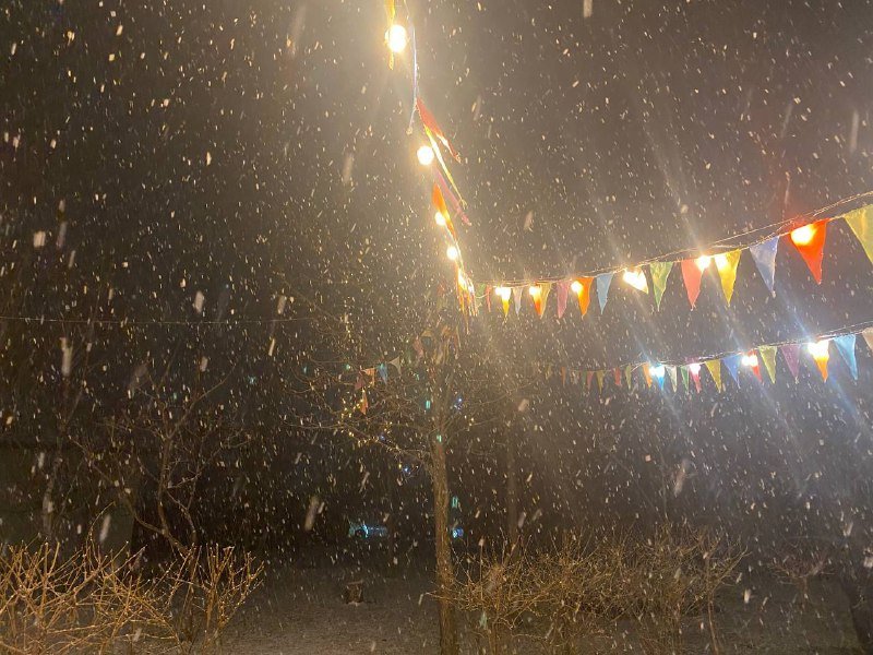 Киев начало засыпать снегом: первые фото и видео с улиц города 8