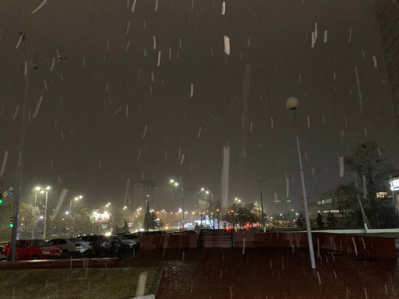 Киев начало засыпать снегом: первые фото и видео с улиц города 9