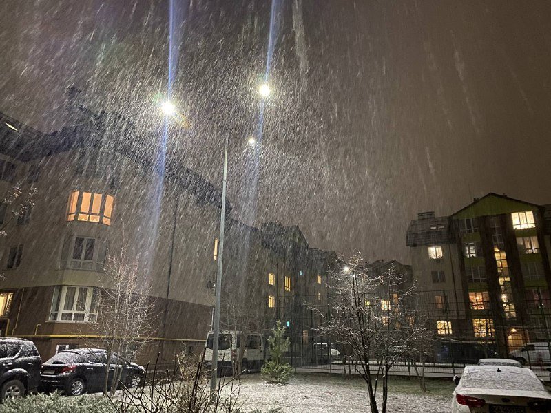 Киев начало засыпать снегом: первые фото и видео с улиц города 10