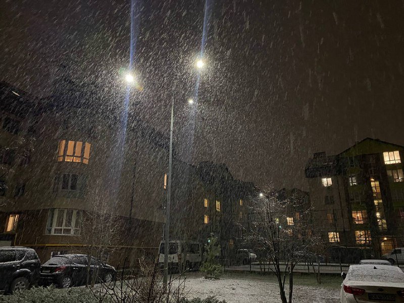 Киев начало засыпать снегом: первые фото и видео с улиц города 11