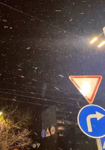 Киев начало засыпать снегом: первые фото и видео с улиц города 12