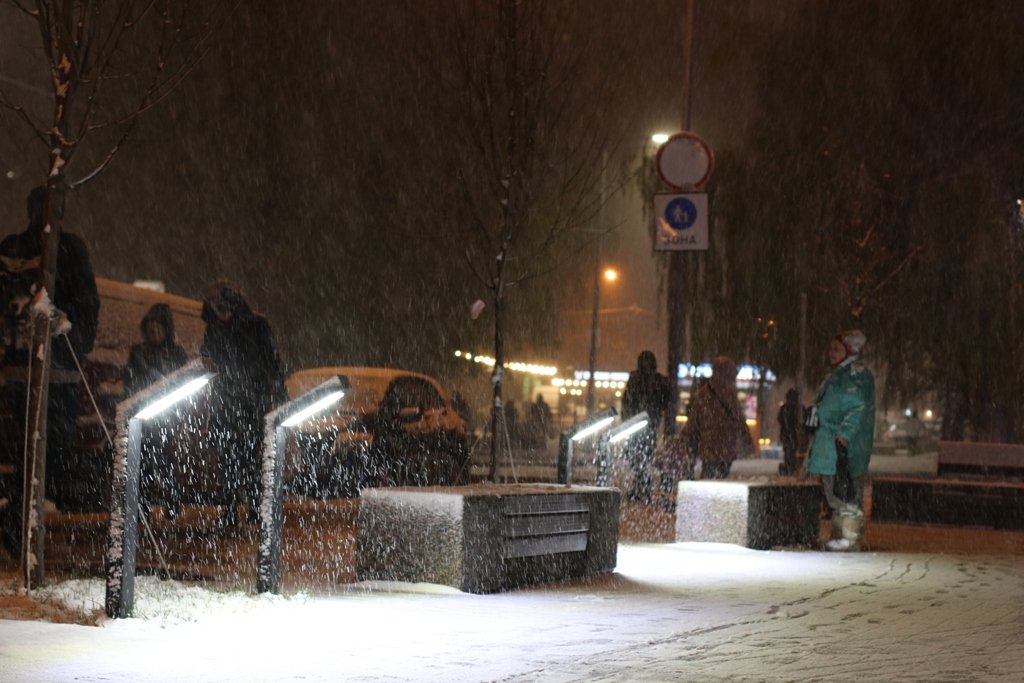 Первый снег в Киеве: фоторепортаж с заснеженных улиц 1