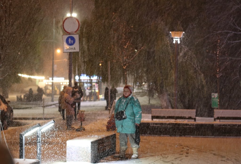 Первый снег в Киеве: фоторепортаж с заснеженных улиц 3