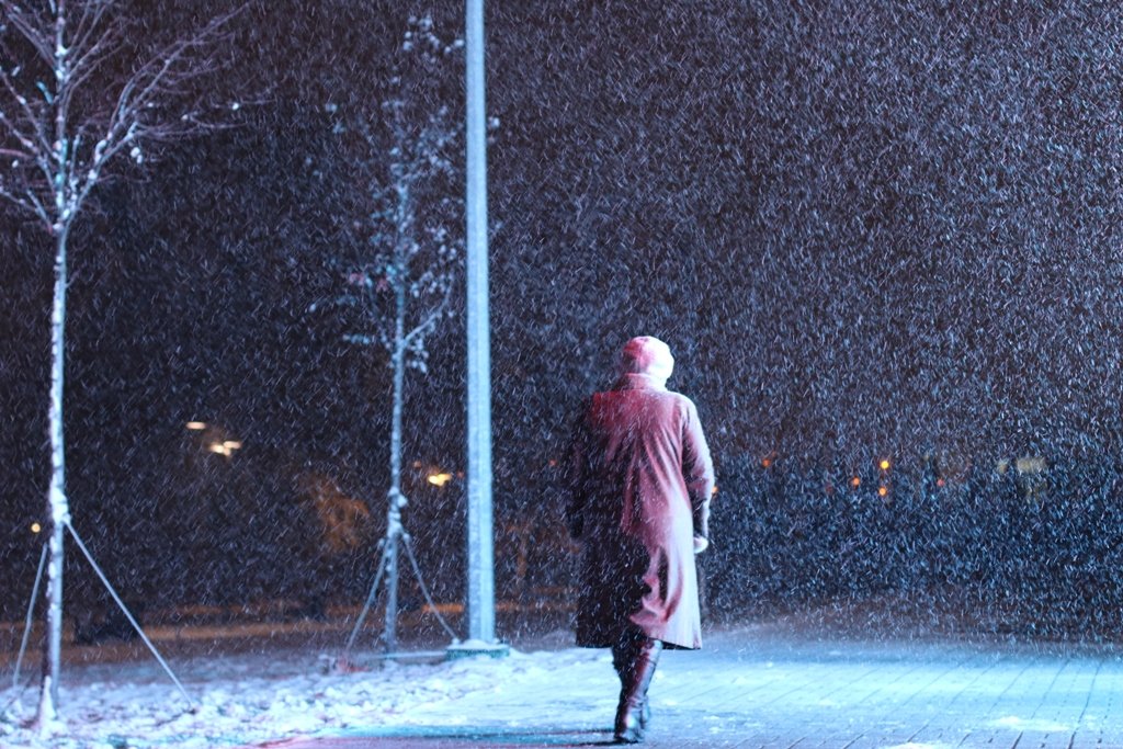 Первый снег в Киеве: фоторепортаж с заснеженных улиц 4