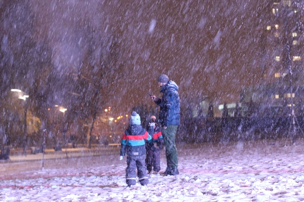 Первый снег в Киеве: фоторепортаж с заснеженных улиц 6