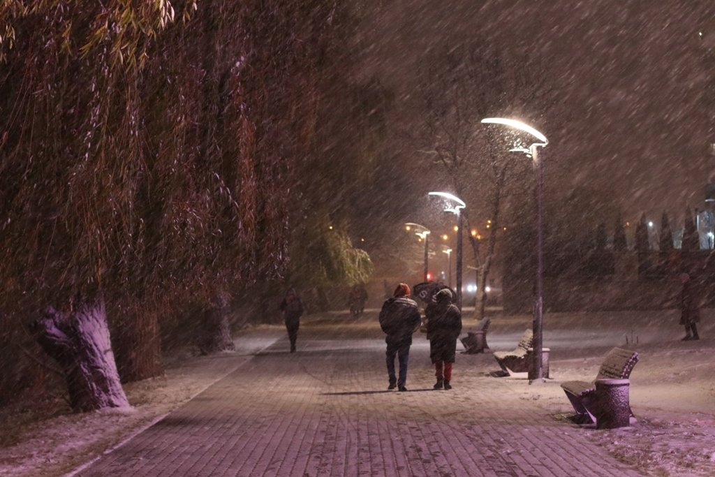 Первый снег в Киеве: фоторепортаж с заснеженных улиц 7