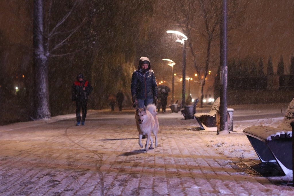 Первый снег в Киеве: фоторепортаж с заснеженных улиц 8