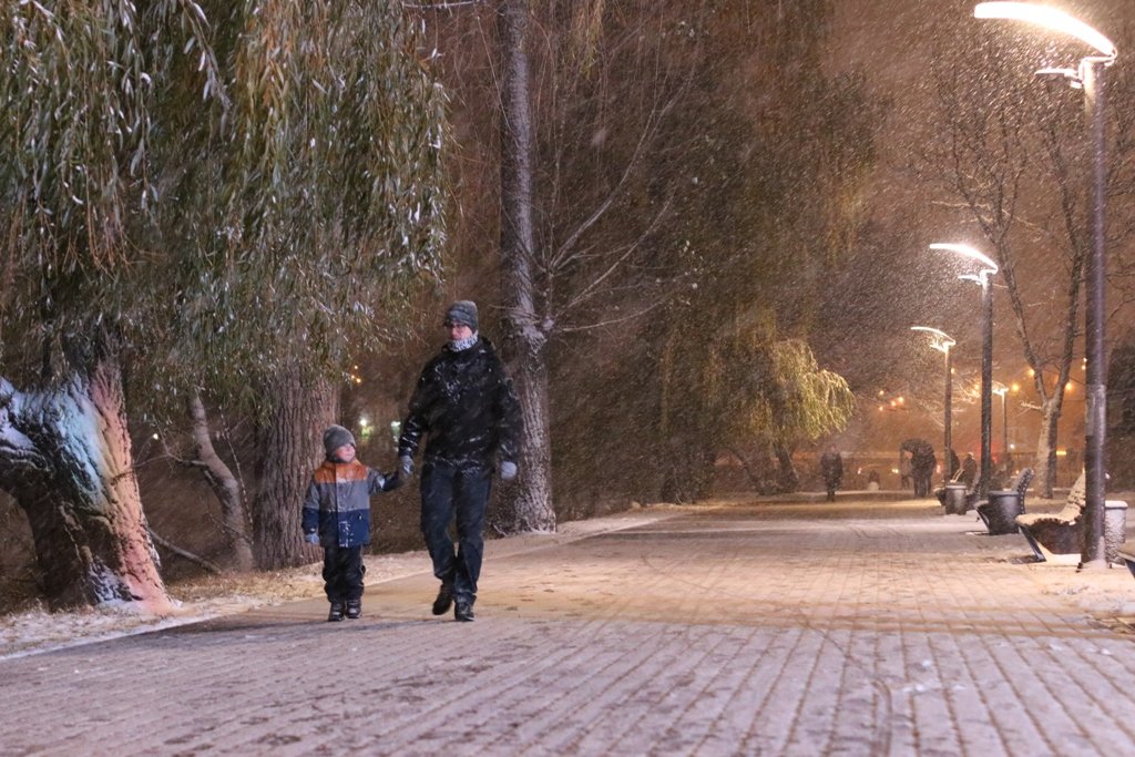 Первый снег в Киеве: фоторепортаж с заснеженных улиц 12