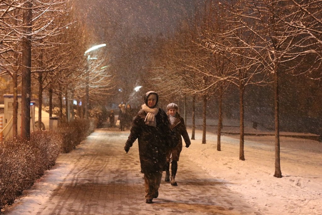 Первый снег в Киеве: фоторепортаж с заснеженных улиц 14