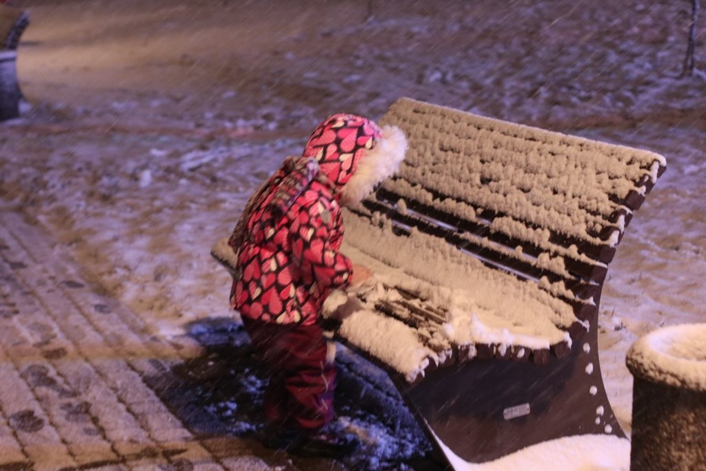 Первый снег в Киеве: фоторепортаж с заснеженных улиц 16