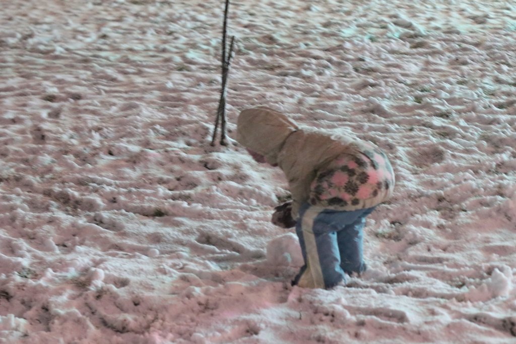 Первый снег в Киеве: фоторепортаж с заснеженных улиц 17