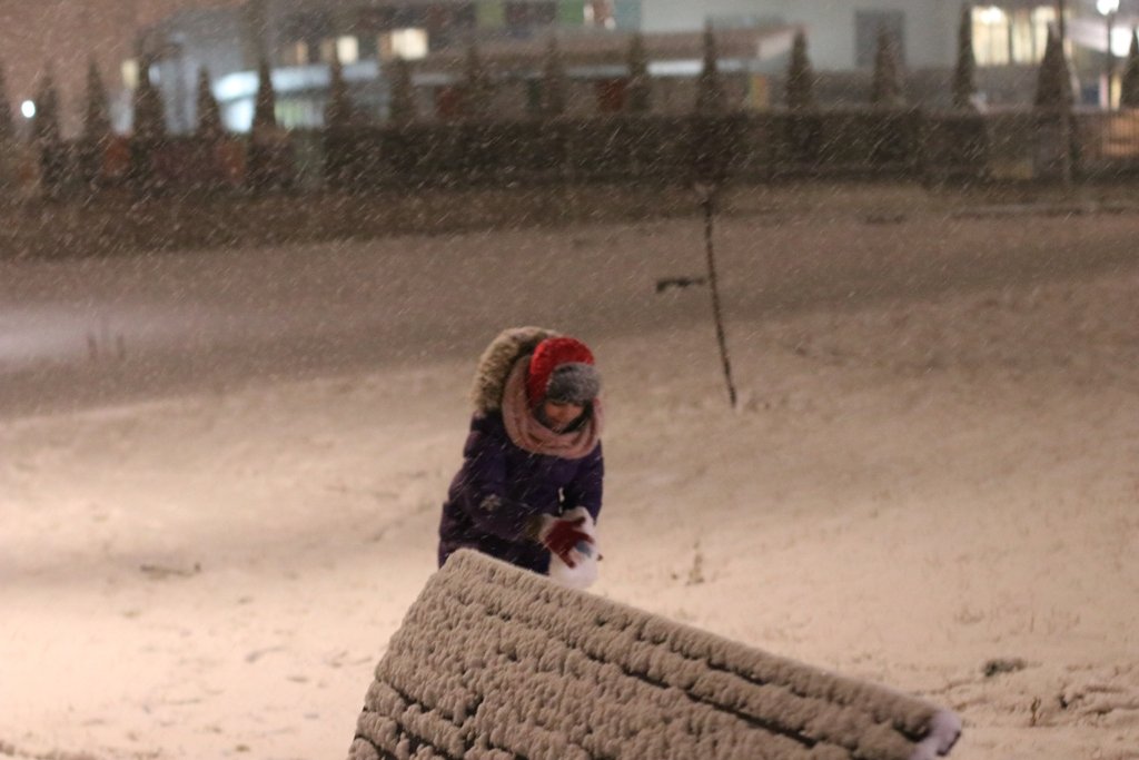 Первый снег в Киеве: фоторепортаж с заснеженных улиц 18