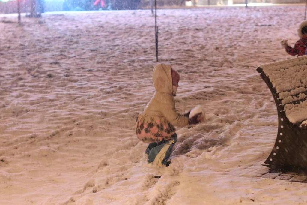 Первый снег в Киеве: фоторепортаж с заснеженных улиц 20