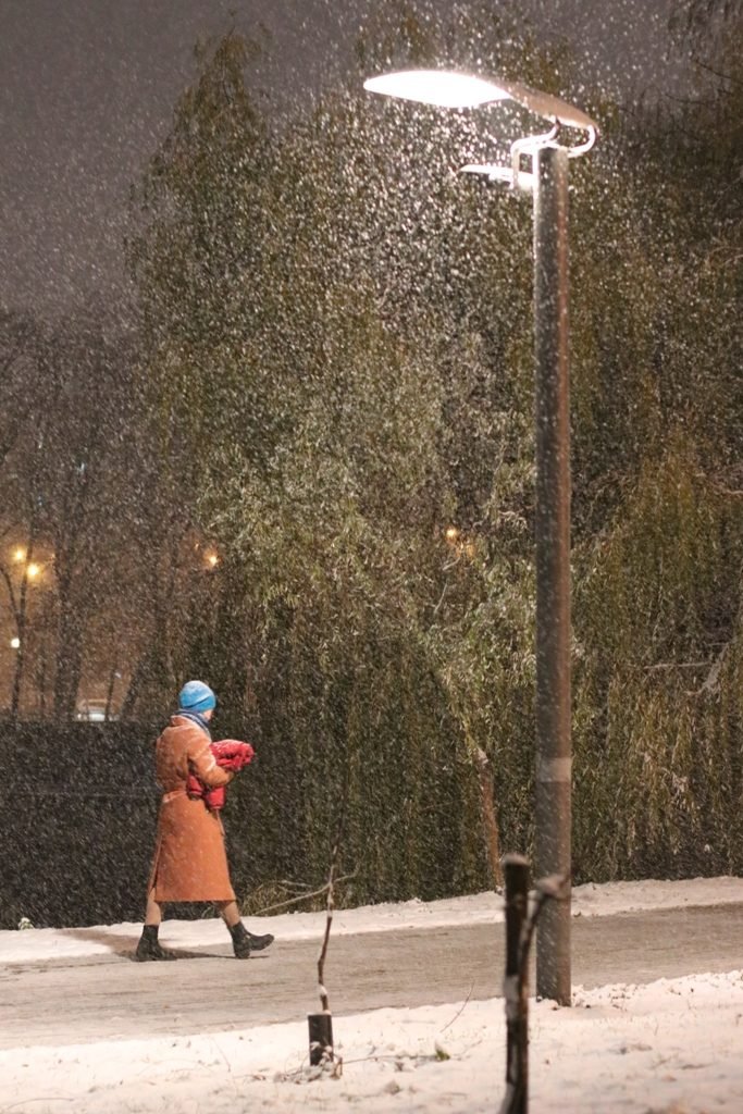 Первый снег в Киеве: фоторепортаж с заснеженных улиц 24