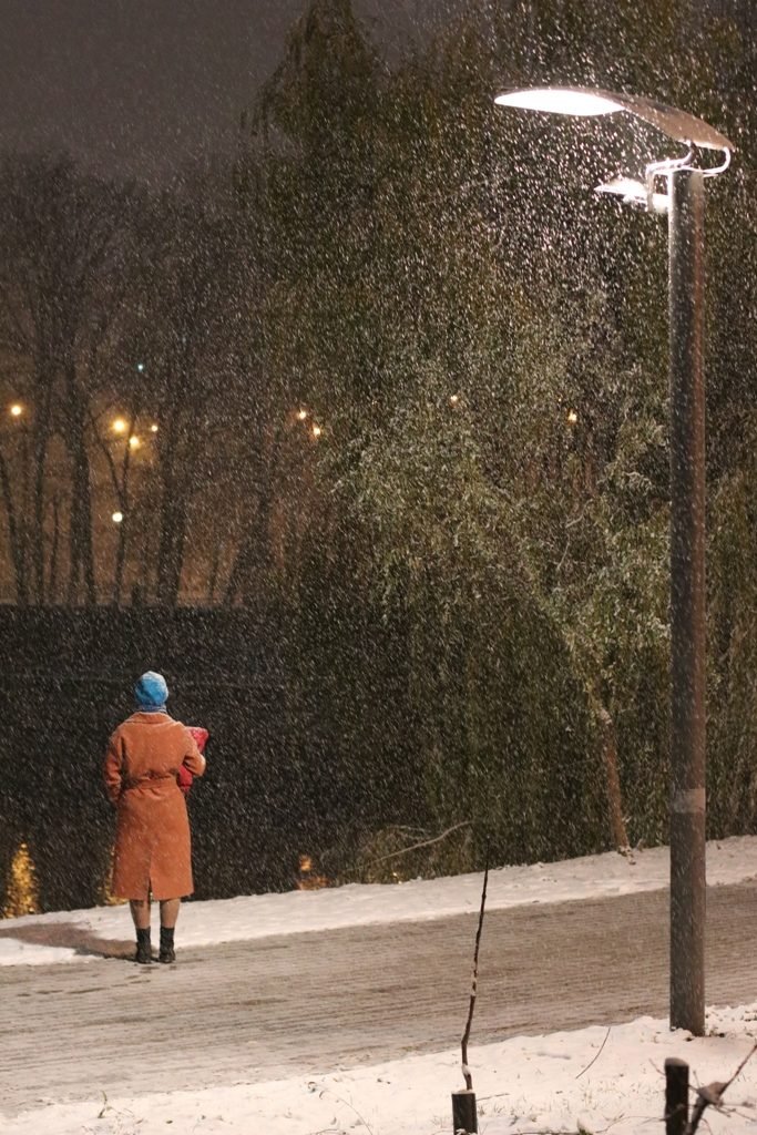 Первый снег в Киеве: фоторепортаж с заснеженных улиц 25