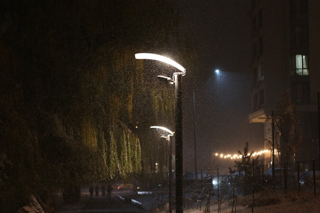 Первый снег в Киеве: фоторепортаж с заснеженных улиц 26