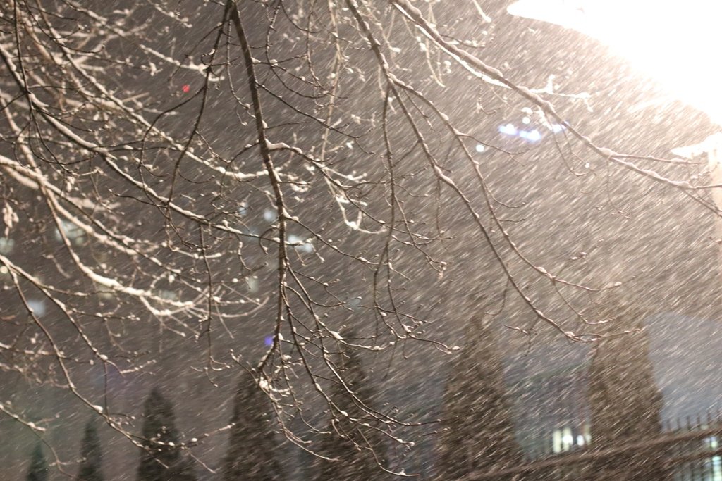 Первый снег в Киеве: фоторепортаж с заснеженных улиц 29