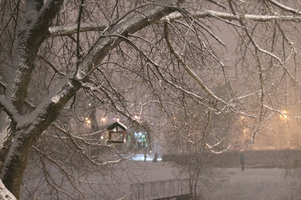 Первый снег в Киеве: фоторепортаж с заснеженных улиц 31