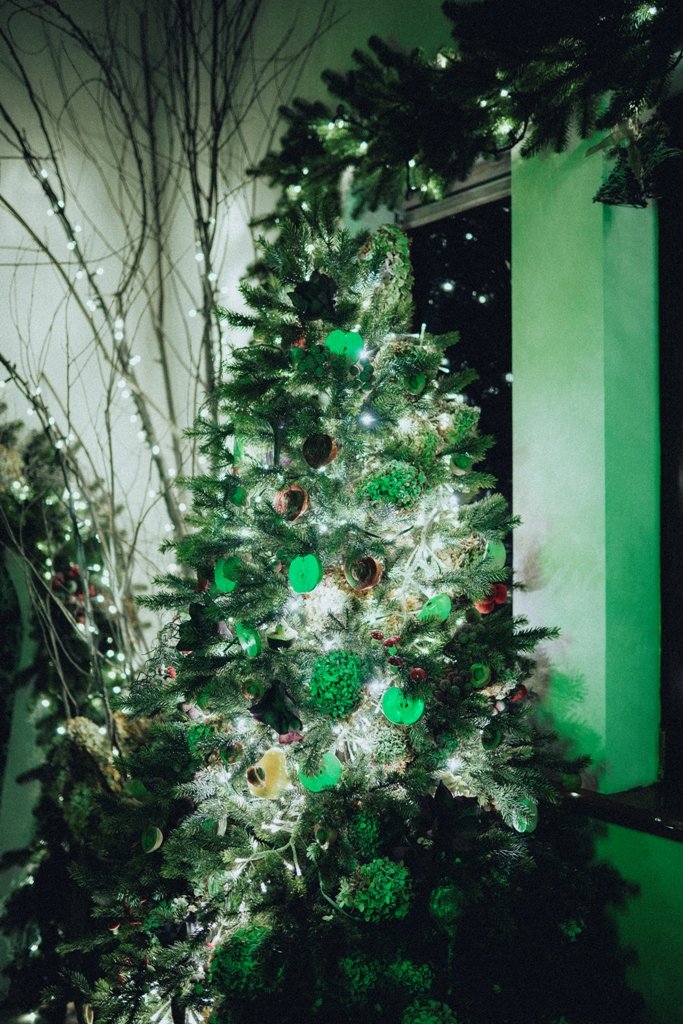 Под Киевом в Добропарке открывается новая локация "Зима за городом": как выглядит, что там будет и сколько стоит 1