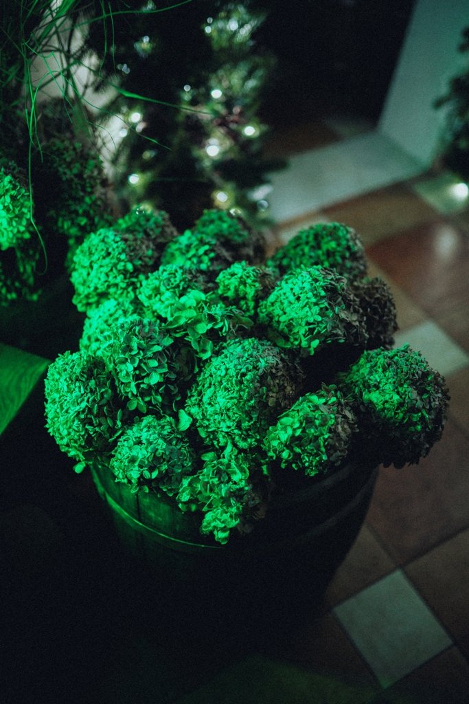 Под Киевом в Добропарке открывается новая локация "Зима за городом": как выглядит, что там будет и сколько стоит 2