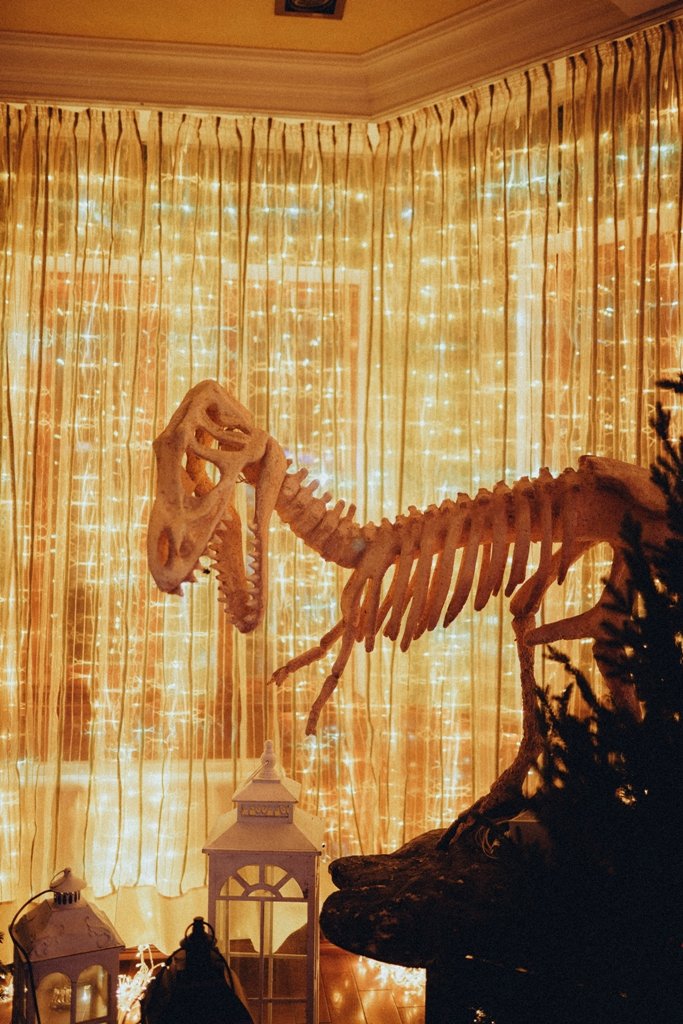 Под Киевом в Добропарке открывается новая локация "Зима за городом": как выглядит, что там будет и сколько стоит 3