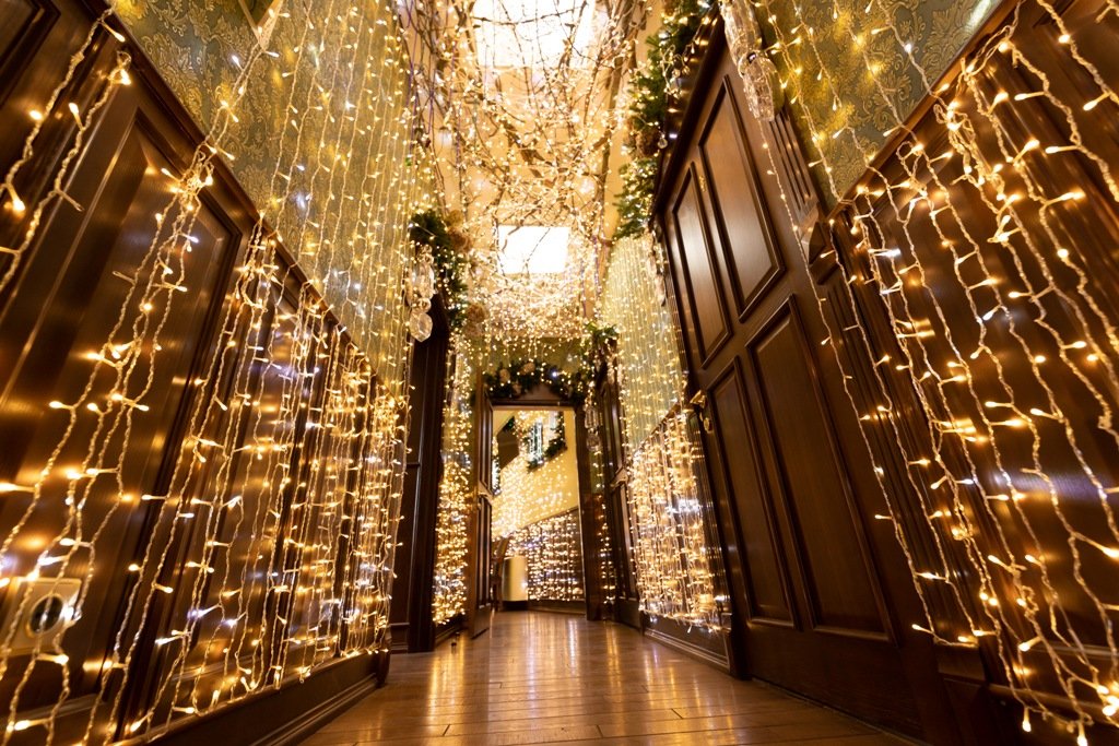 Под Киевом в Добропарке открывается новая локация "Зима за городом": как выглядит, что там будет и сколько стоит 6