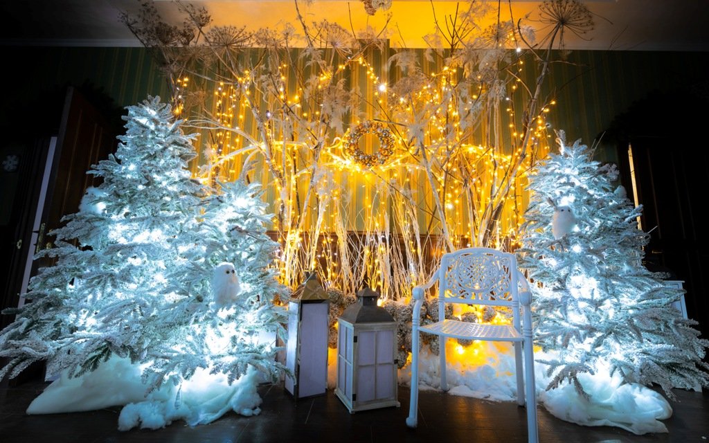 Под Киевом в Добропарке открывается новая локация "Зима за городом": как выглядит, что там будет и сколько стоит 9