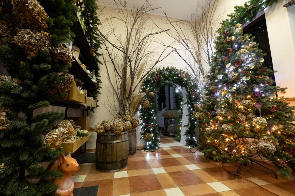 Под Киевом в Добропарке открывается новая локация "Зима за городом": как выглядит, что там будет и сколько стоит 11