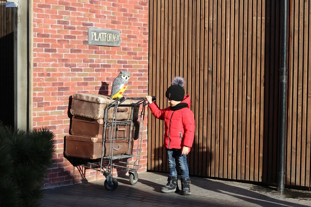 В Киеве открылся Osocor Winter Village: что вас ждет и чем удивит новогодний городок в стиле Гарри Поттера 11