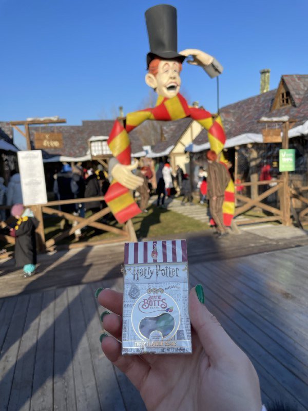 В Киеве открылся Osocor Winter Village: что вас ждет и чем удивит новогодний городок в стиле Гарри Поттера 20