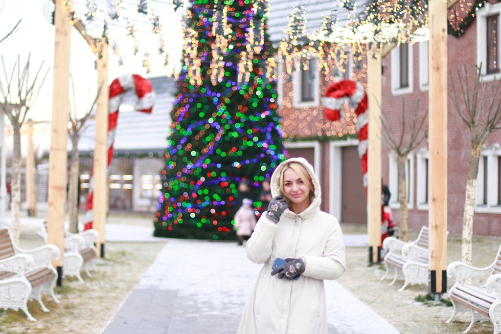 В Добропарке под Киевом открылась новая локация «Зима за городом»: чем удивит и сколько стоит 9
