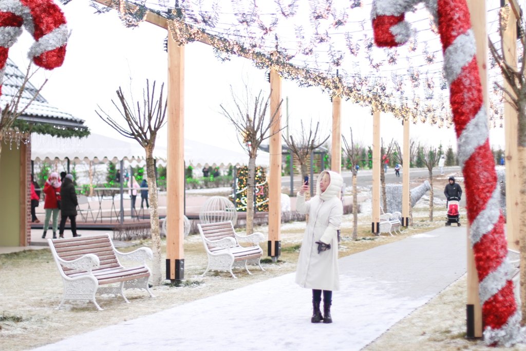 В Добропарке под Киевом открылась новая локация «Зима за городом»: чем удивит и сколько стоит 10