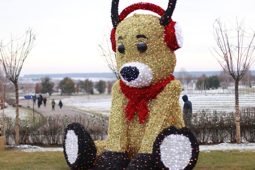 В Добропарке под Киевом открылась новая локация «Зима за городом»: чем удивит и сколько стоит 14