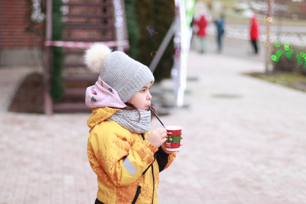 В Добропарке под Киевом открылась новая локация «Зима за городом»: чем удивит и сколько стоит 18
