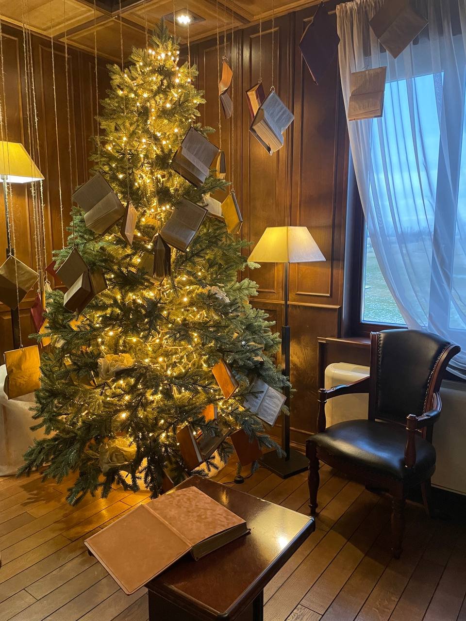 В Добропарке под Киевом открылась новая локация «Зима за городом»: чем удивит и сколько стоит 25