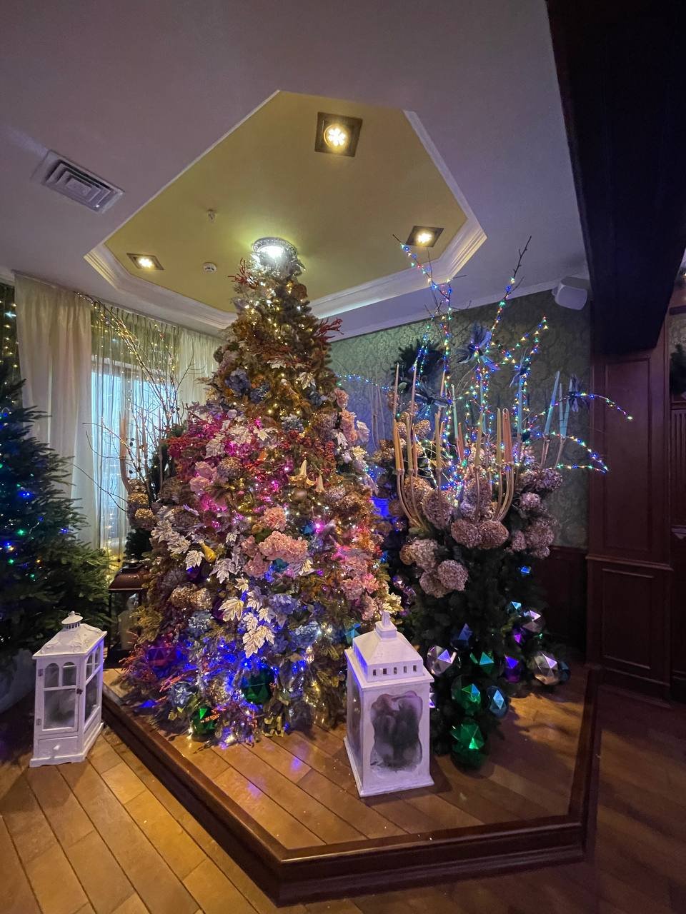 В Добропарке под Киевом открылась новая локация «Зима за городом»: чем удивит и сколько стоит 30