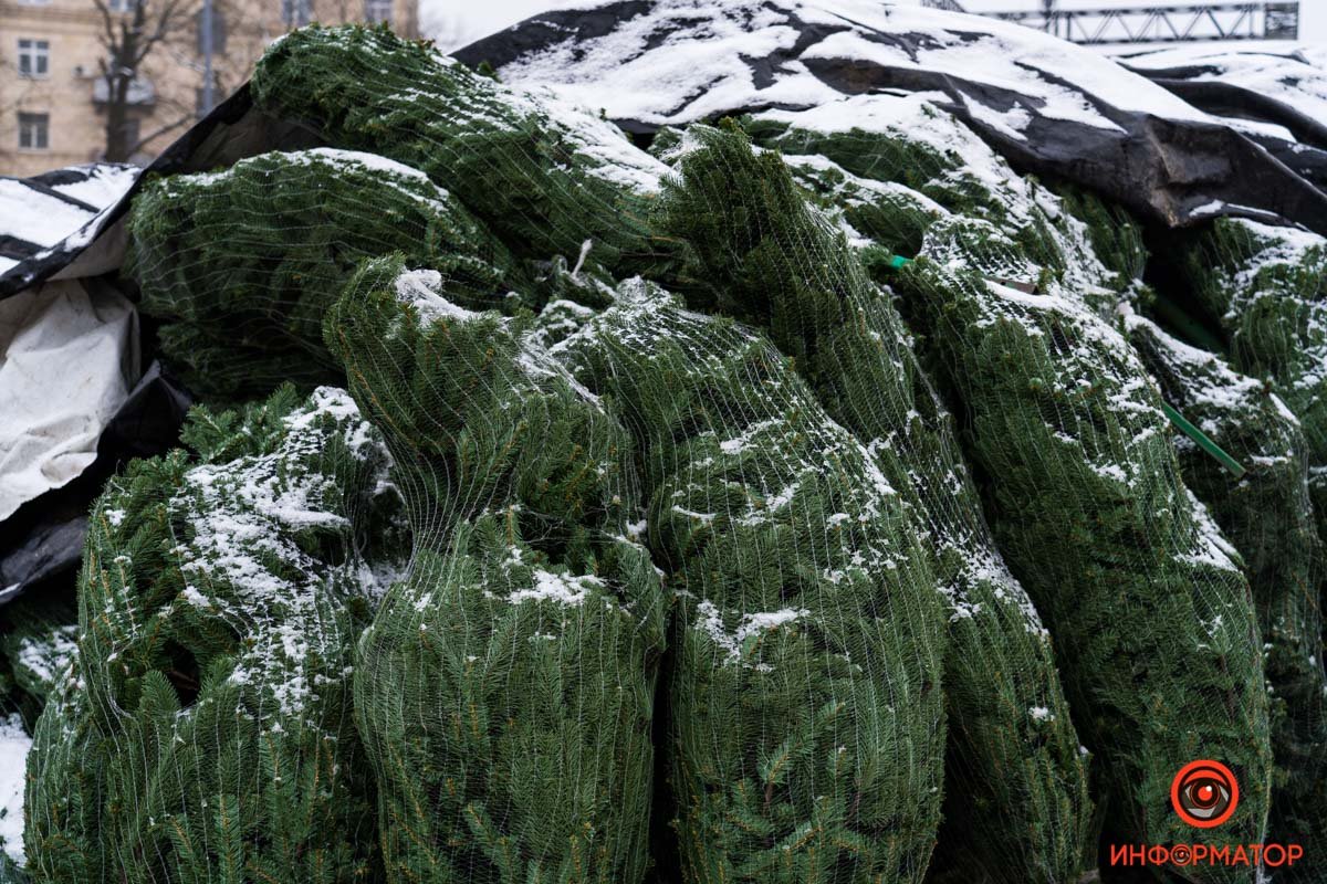 Главный новогодний городок Украины: как сейчас выглядит Софийская площадь в Киеве 10