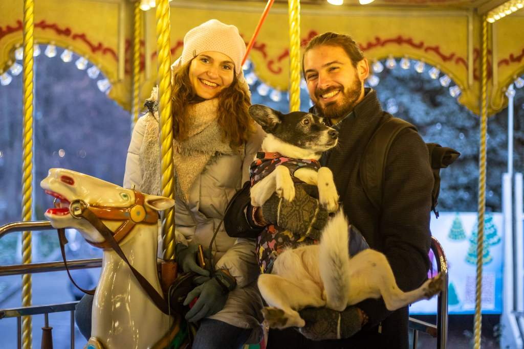 Зимова країна на ВДНГ: какие локации работают в самом большом парке праздничных развлечений Киева 9