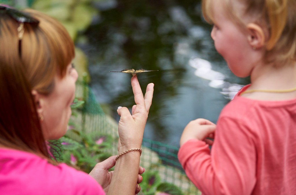 Зимова країна на ВДНГ: какие локации работают в самом большом парке праздничных развлечений Киева 12