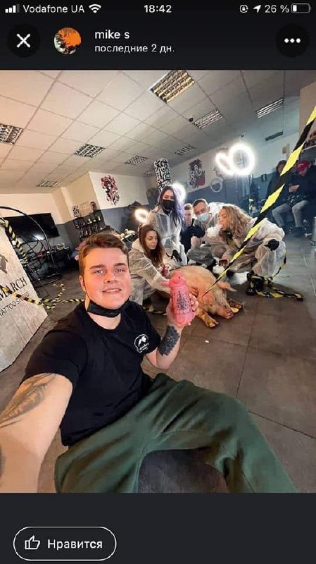 В Киеве в тату-салон привели свинью, чтобы набить ей на спине купола и установить рекорд 1