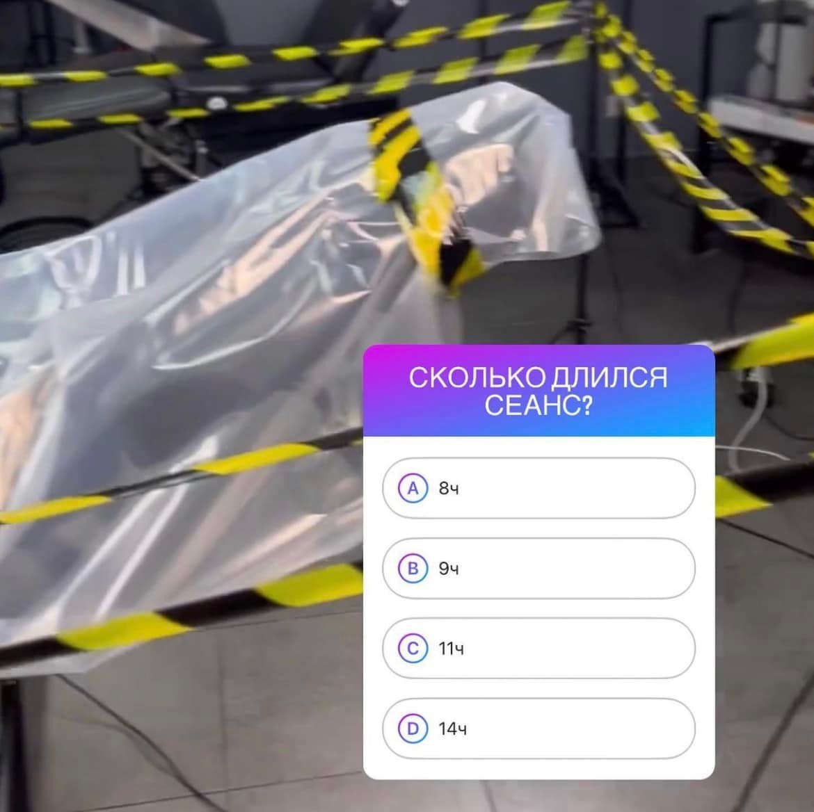 В Киеве в тату-салон привели свинью, чтобы набить ей на спине купола и установить рекорд 2